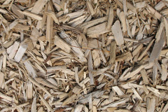 biomass boilers Bringsty Common